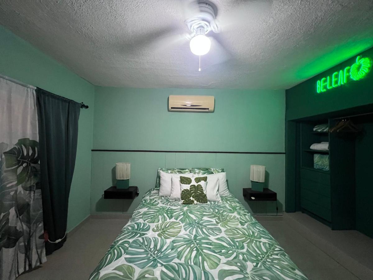 Bed and Breakfast Dici Co-Living Housing Кабо-Сан-Лукас Экстерьер фото